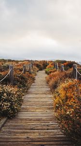 Preview wallpaper bridge, path, field, clouds, nature