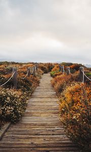 Preview wallpaper bridge, path, field, clouds, nature