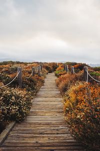 Preview wallpaper bridge, path, field, clouds, nature