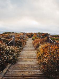 Preview wallpaper bridge, path, field, clouds, nature