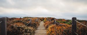 Preview wallpaper bridge, path, field, clouds, nature