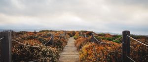 Preview wallpaper bridge, path, field, clouds, nature