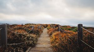 Preview wallpaper bridge, path, field, clouds, nature