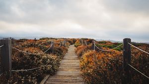 Preview wallpaper bridge, path, field, clouds, nature