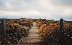 Preview wallpaper bridge, path, field, clouds, nature