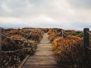 Preview wallpaper bridge, path, field, clouds, nature