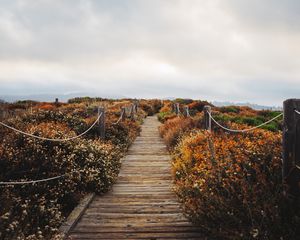 Preview wallpaper bridge, path, field, clouds, nature