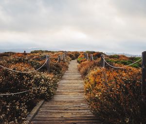 Preview wallpaper bridge, path, field, clouds, nature