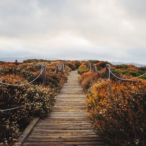 Preview wallpaper bridge, path, field, clouds, nature