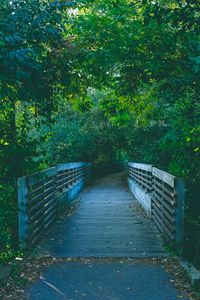 Preview wallpaper bridge, path, trees, summer