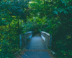 Preview wallpaper bridge, path, trees, summer