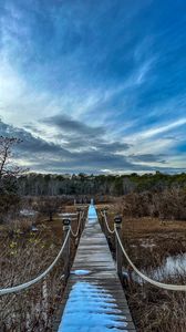 Preview wallpaper bridge, path, trees, swamp