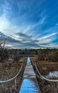 Preview wallpaper bridge, path, trees, swamp