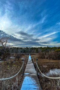 Preview wallpaper bridge, path, trees, swamp