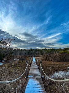 Preview wallpaper bridge, path, trees, swamp