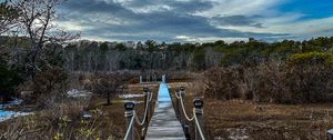 Preview wallpaper bridge, path, trees, swamp