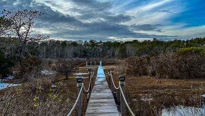 Preview wallpaper bridge, path, trees, swamp