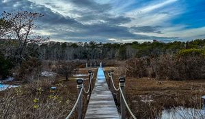 Preview wallpaper bridge, path, trees, swamp