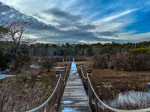 Preview wallpaper bridge, path, trees, swamp