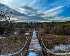 Preview wallpaper bridge, path, trees, swamp