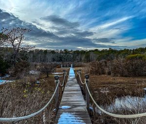 Preview wallpaper bridge, path, trees, swamp