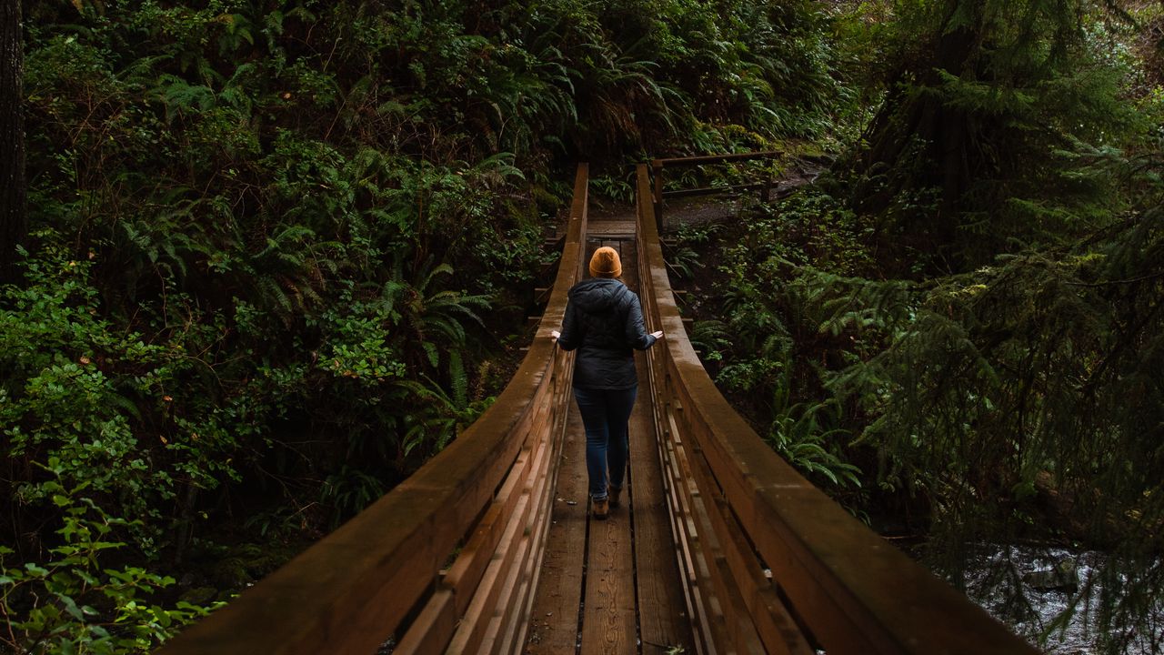 Wallpaper bridge, person, forest, nature