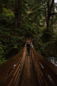 Preview wallpaper bridge, person, forest, nature