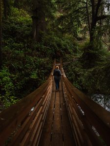 Preview wallpaper bridge, person, forest, nature