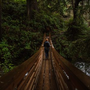 Preview wallpaper bridge, person, forest, nature