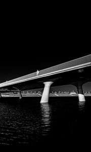 Preview wallpaper bridge, pilings, river, black and white