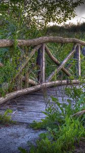 Preview wallpaper bridge, plants, grass, landscape