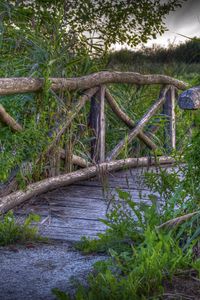 Preview wallpaper bridge, plants, grass, landscape