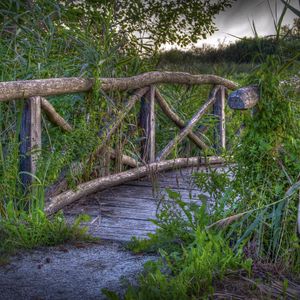 Preview wallpaper bridge, plants, grass, landscape