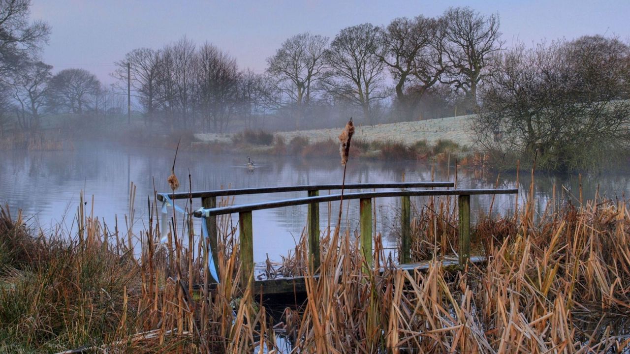 Wallpaper bridge, pond, haze, morning
