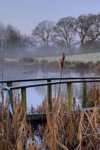 Preview wallpaper bridge, pond, haze, morning