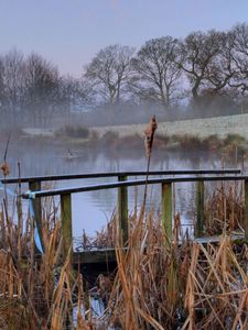 Preview wallpaper bridge, pond, haze, morning