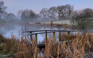 Preview wallpaper bridge, pond, haze, morning