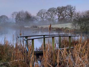 Preview wallpaper bridge, pond, haze, morning