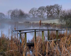 Preview wallpaper bridge, pond, haze, morning