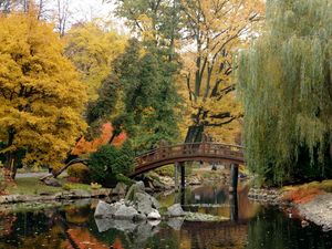 Preview wallpaper bridge, pond, stones, willow, serenity