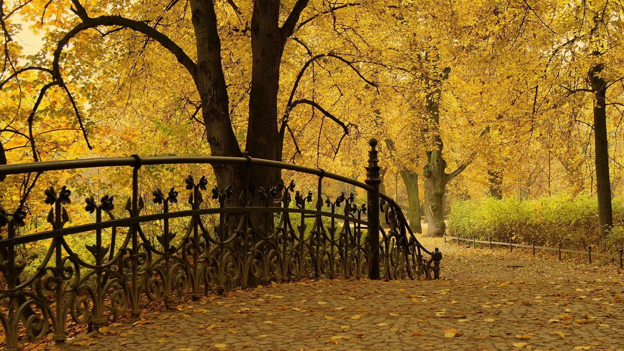 Wallpaper bridge railing, park, autumn, trees, leaves