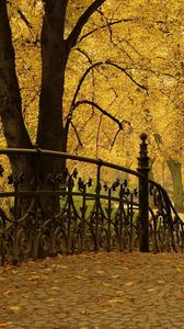 Preview wallpaper bridge railing, park, autumn, trees, leaves