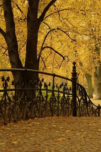 Preview wallpaper bridge railing, park, autumn, trees, leaves