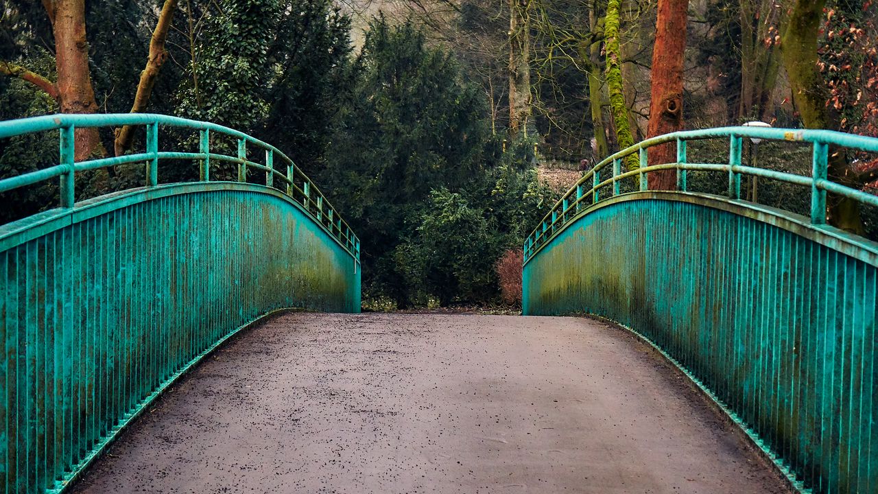 Wallpaper bridge, railings, trees, view