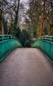 Preview wallpaper bridge, railings, trees, view