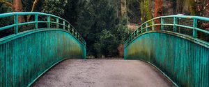 Preview wallpaper bridge, railings, trees, view