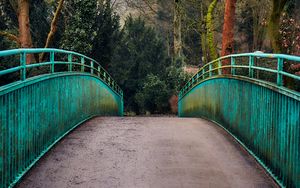 Preview wallpaper bridge, railings, trees, view