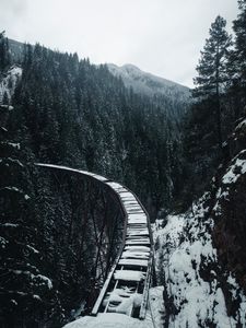 Preview wallpaper bridge, railway, snow, trees, mountains, snowy