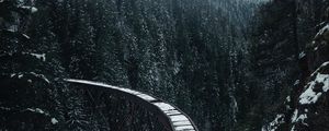 Preview wallpaper bridge, railway, snow, trees, mountains, snowy