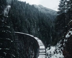 Preview wallpaper bridge, railway, snow, trees, mountains, snowy